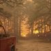 Wildfire smoke exposure is harming pregnant patients who have limited access to health care: Study