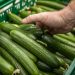Multistate salmonella outbreak sparks cucumber recall