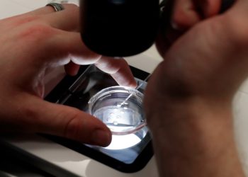 Democratic senators ask Trump administration to rehire CDC IVF team