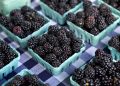 2 items added to ‘Dirty Dozen’ list of most pesticide-contaminated produce