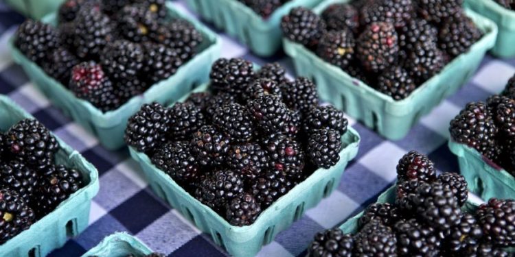 2 items added to ‘Dirty Dozen’ list of most pesticide-contaminated produce