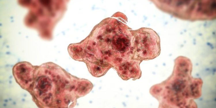 Woman dies from brain-eating amoeba after using tap water to clear sinuses: CDC