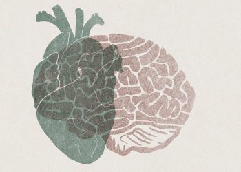 What your brain score says about your body
