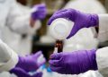 Gut microbes could offer protection from toxic ‘forever chemicals’: Study