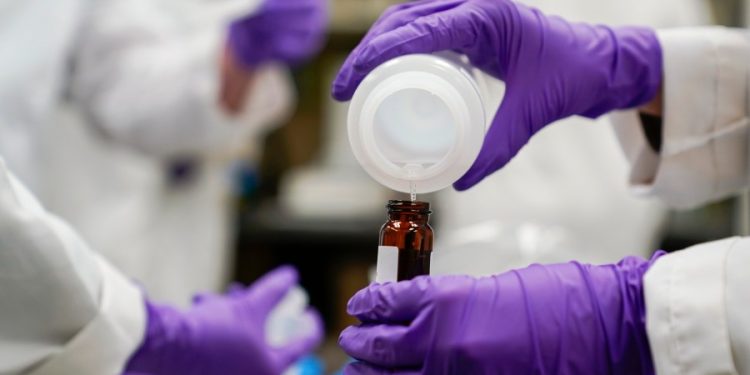 Gut microbes could offer protection from toxic ‘forever chemicals’: Study