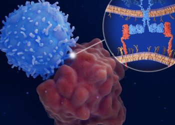 Unlocking the promise of CAR-T