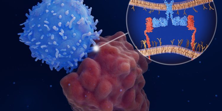 Unlocking the promise of CAR-T