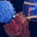 Unlocking the promise of CAR-T