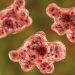 Brain-eating amoeba: Who is most often infected?