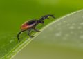 ‘Have a healthy respect that nature sometimes bites back’