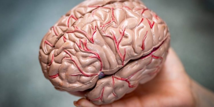 New brain implants poised to help people with disabilities