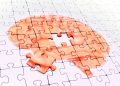 Why are women twice as likely to develop Alzheimer’s as men?