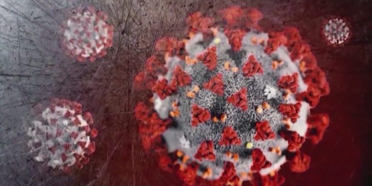 Vaccine skeptic to lead CDC COVID immunization working group