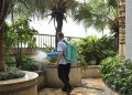 Chikungunya virus in China: What to know