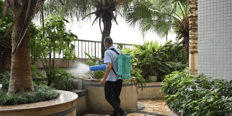 Chikungunya virus in China: What to know