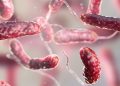 Flesh-eating bacteria: Expert tips for avoiding an infection this summer