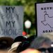 Texas lawmakers advance abortion pill restrictions
