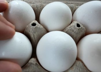 At least 95 sickened, most in California, in Salmonella outbreak linked to recalled eggs