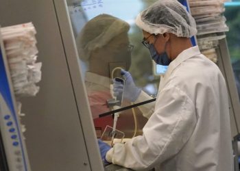 Lab-grown meat ban takes effect in Texas