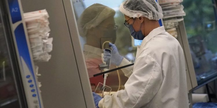 Lab-grown meat ban takes effect in Texas