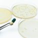 Racing against antibiotic resistance