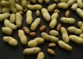 Peanut allergies may be prevented, new research finds