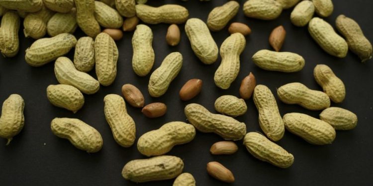 Peanut allergies may be prevented, new research finds