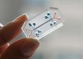 A condition more common than asthma or diabetes, yet often ignored