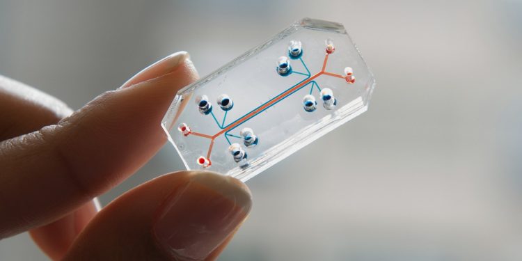 A condition more common than asthma or diabetes, yet often ignored