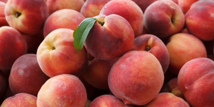 Peaches sold at Trader Joe’s, Kroger recalled over listeria risk