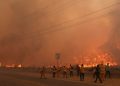 Study finds wildfire smoke reduces sperm quality
