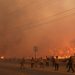 Study finds wildfire smoke reduces sperm quality