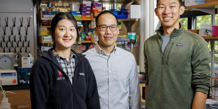 Shining a light on the dark matter of our genome