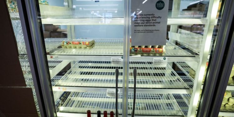 First death reported from rare bird flu strain