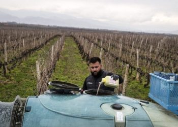 EPA approves pesticide made with a ‘forever chemical’