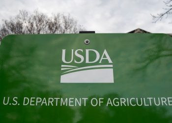 USDA tells states SNAP will be fully funded during appeal