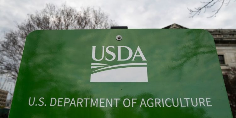 USDA tells states SNAP will be fully funded during appeal