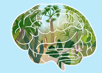 Are you doing enough to keep your brain healthy?