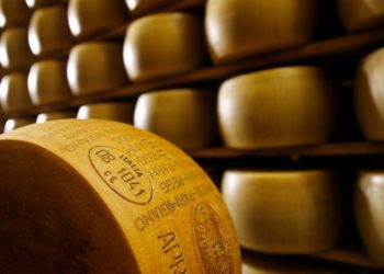 Health officials investigate E. coli outbreak linked to raw cheese sold in Florida