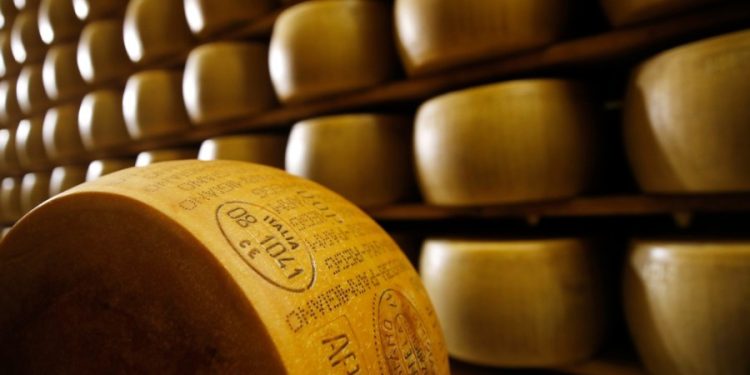 Health officials investigate E. coli outbreak linked to raw cheese sold in Florida