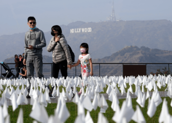 Early COVID pandemic death toll much higher than official count: Study