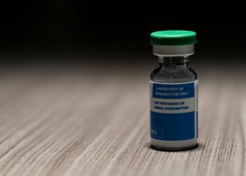 Inside the booming, gray-market world of injectable peptides 