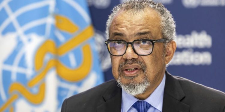 WHO chief says hantavirus ‘situation is stable for now’
