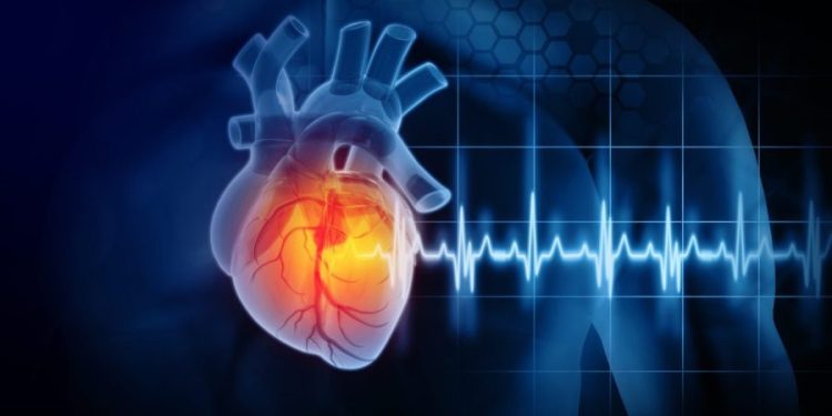 Reps. Davis, Tenney push for genetically targeted heart disease technologies