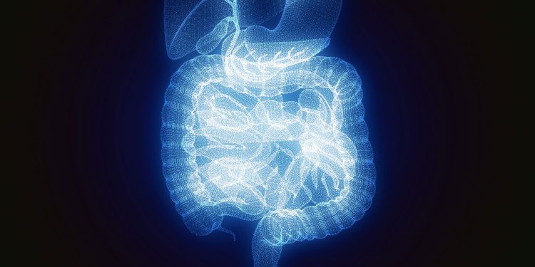 When stress is a punch to the gut