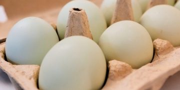 Nearly 1.6 million eggs recalled over salmonella concerns: Full list of products impacted