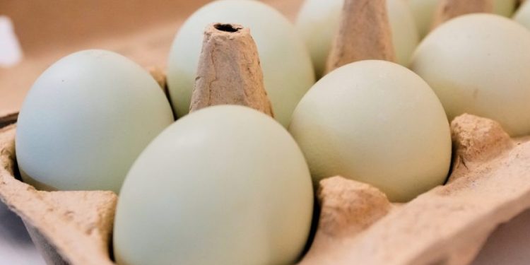 Nearly 1.6 million eggs recalled over salmonella concerns: Full list of products impacted