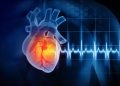 Study finds alarming level of microplastics in heart attack patients’ blood