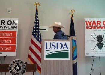 US to reopen border to Mexican cattle imports after screwworm shutdown