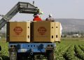 Are the Taylor Farms recalls connected?